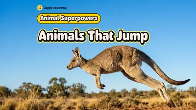 Animals That Jump