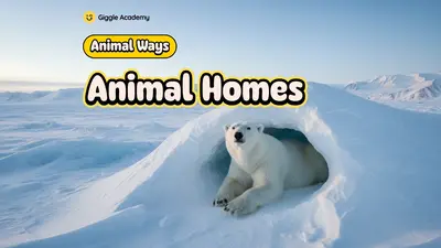 Animal Homes