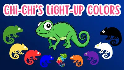 Chi-Chi’s Light-Up Colors