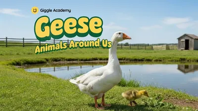 Geese