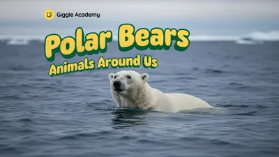 Polar Bears