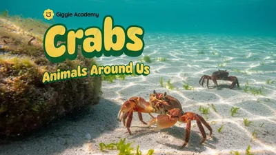 Crabs