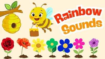 Rainbow Sounds