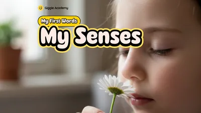 My Senses