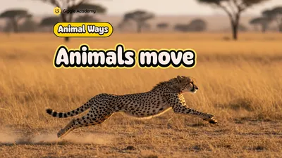 Animals move