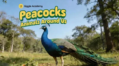 Peacocks