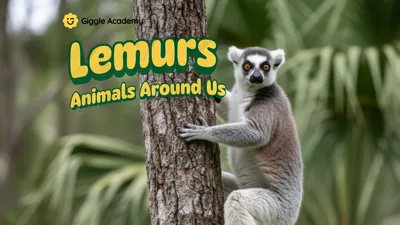 Lemurs