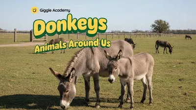 Donkeys