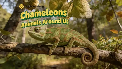 Chameleons